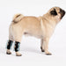 3-in-1-Dog-Splint-Braces-SHORT