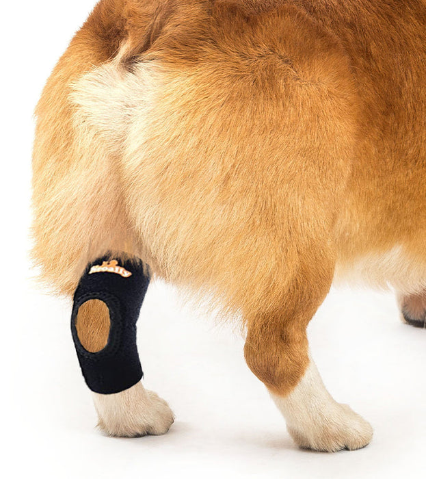 NeoAlly Dog Rear Leg Hock Brace with Safety Reflective Straps for Small Dogs [Short Version]