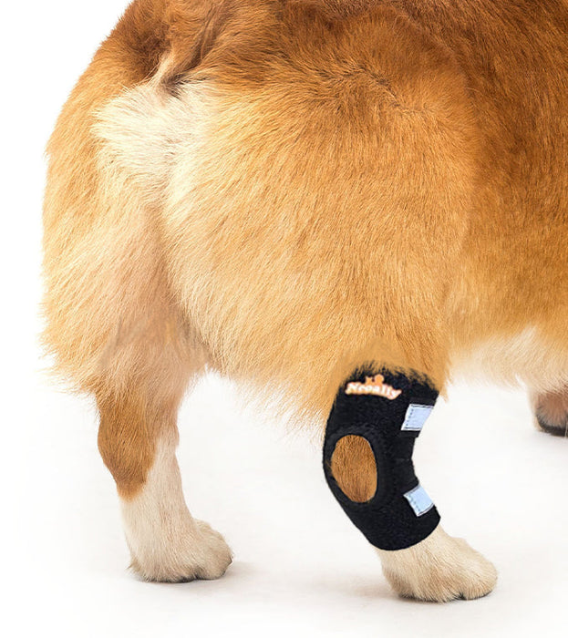 NeoAlly Dog Rear Leg Hock Brace with Safety Reflective Straps for Small Dogs [Short Version]