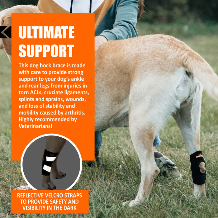 NeoAlly Dog Rear Leg Hock Brace with Safety Reflective Straps for Small Dogs [Short Version]