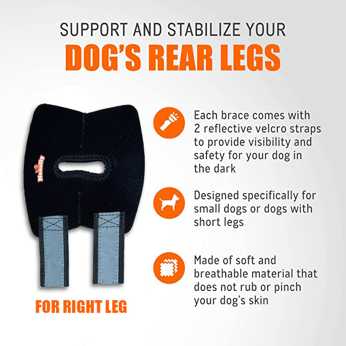 NeoAlly Dog Rear Leg Hock Brace with Safety Reflective Straps for Small Dogs [Short Version]