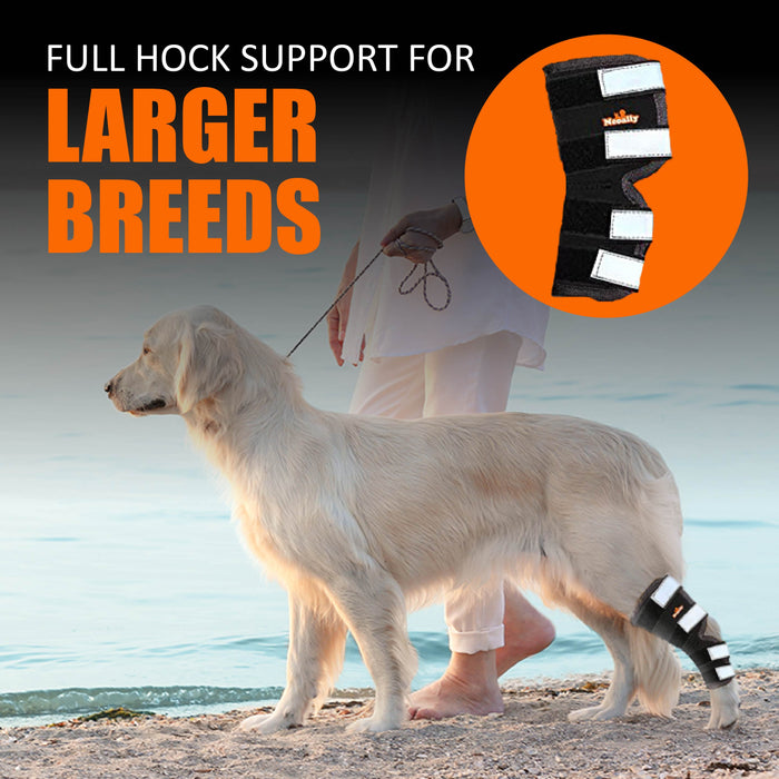 NeoAlly Dog Rear Leg Hock Brace with Safety Reflective Straps for Large Dogs [Long Version]