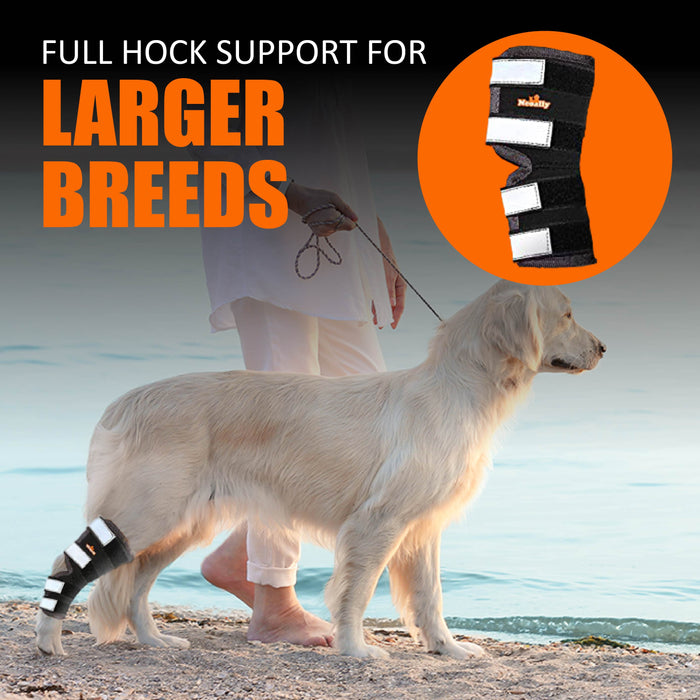 NeoAlly Dog Rear Leg Hock Brace with Safety Reflective Straps for Large Dogs [Long Version]