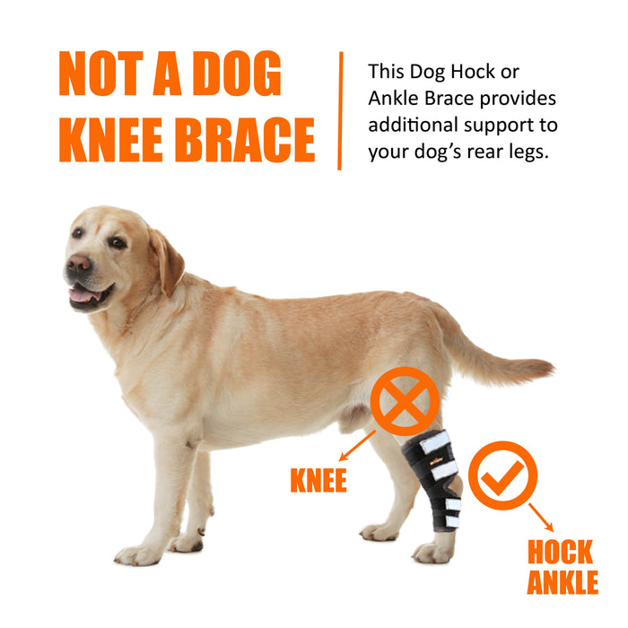 NeoAlly Dog Rear Leg Hock Brace with Safety Reflective Straps for Large Dogs [Long Version]