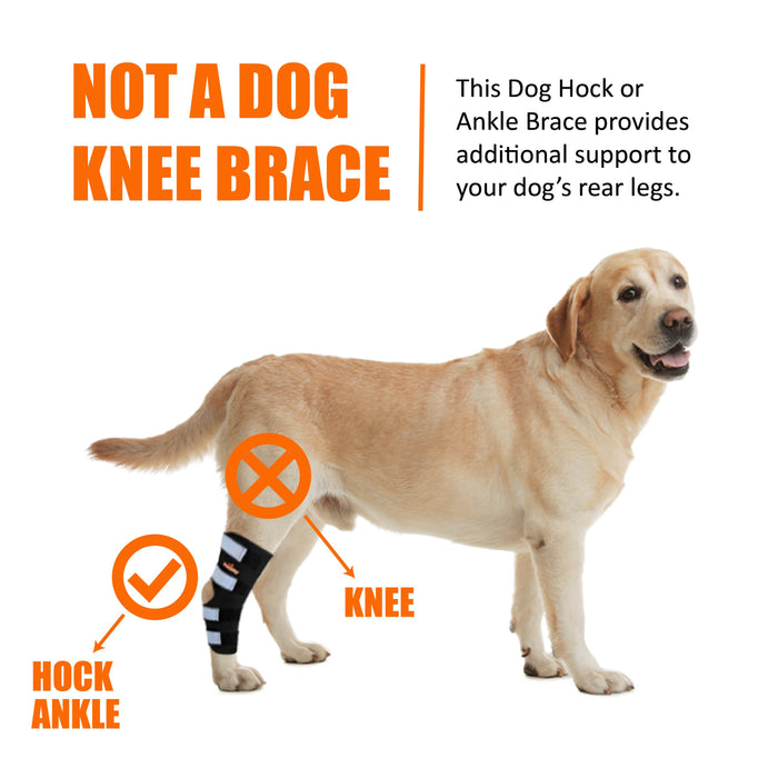 NeoAlly Dog Rear Leg Hock Brace with Safety Reflective Straps for Large Dogs [Long Version]