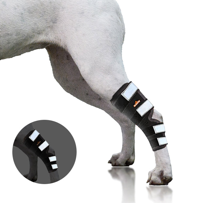 NeoAlly Dog Rear Leg Hock Brace with Safety Reflective Straps for Large Dogs [Long Version]