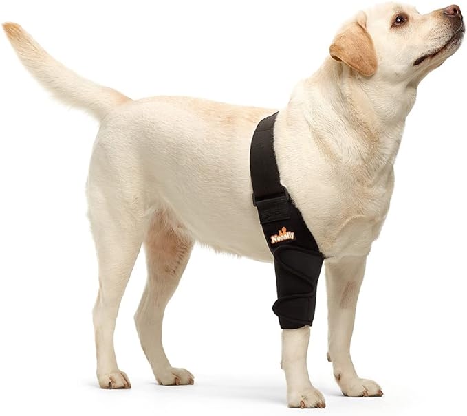 NeoAlly Elbow and Shoulder Brace for Dogs and Cats - Optimal Support for Pet Mobility