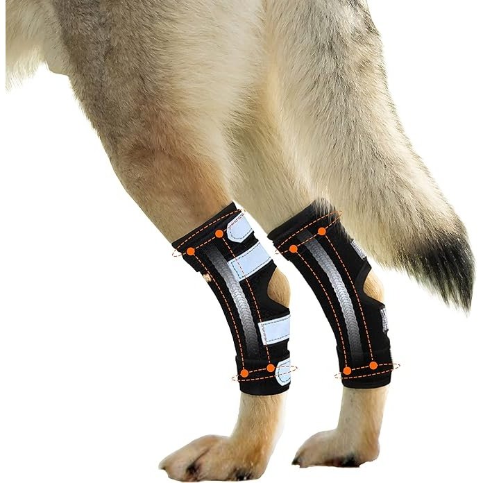 NeoAlly Dog Rear Leg Hock Brace with Metal Spring Strips for Large Dogs [Long Version] (Pair)