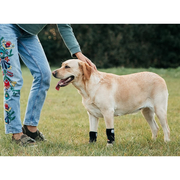 NeoAlly 3-in-1 Front Leg Dog Splint Brace: Rigid & Spring Inserts, Safety Reflective Straps (Pair)