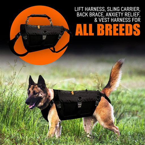 Dog Lift Harness