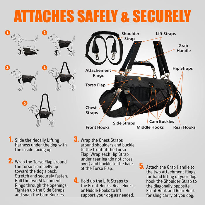 DOG-LIFT-HARNESS-CHART-4