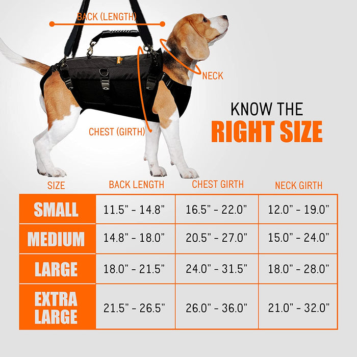 DOG-LIFT-HARNESS-CHART