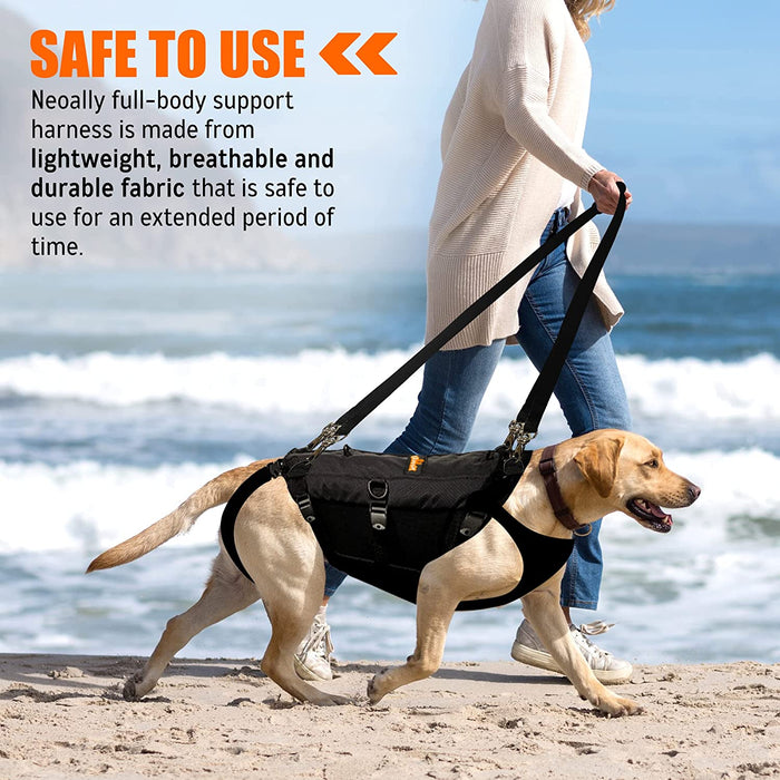 DOG-LIFT-HARNESS