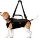 Dog Lift Harness