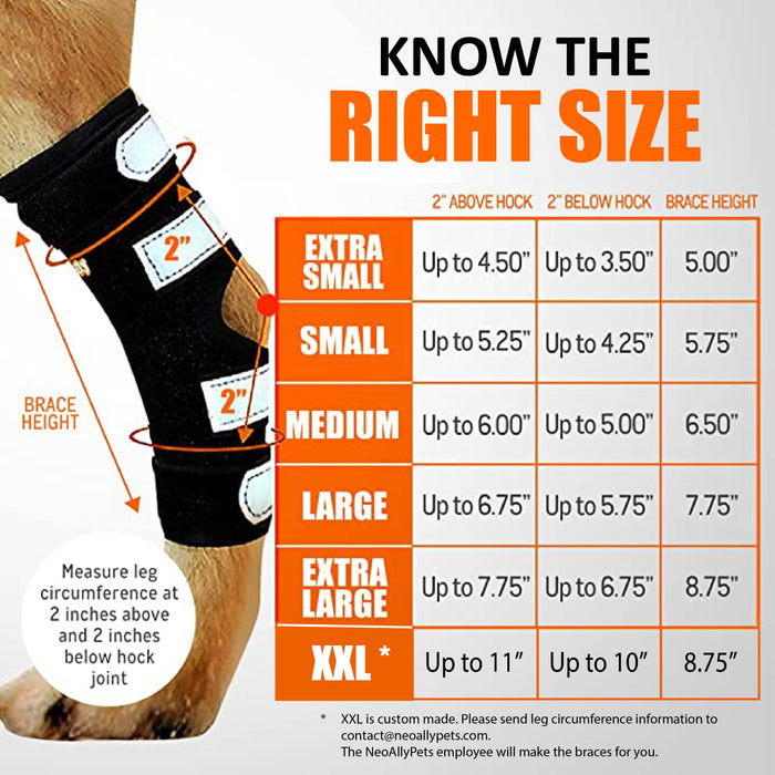 NeoAlly Dog Rear Leg Hock Brace with Safety Reflective Straps for Large Dogs [Long Version]