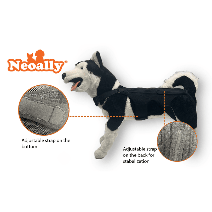 NeoAlly Dog Back Brace for Dogs with Inserts for Extra Support