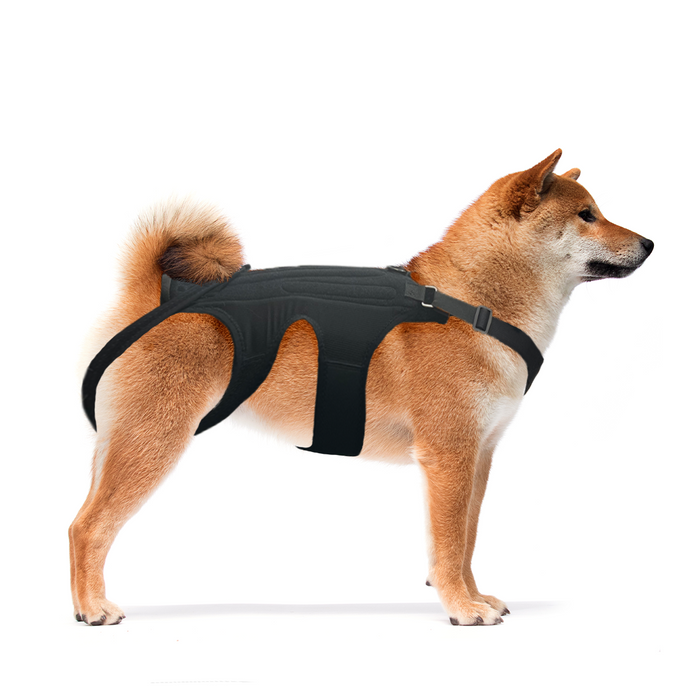 NeoAlly Dog Back Brace for Dogs with Inserts for Extra Support