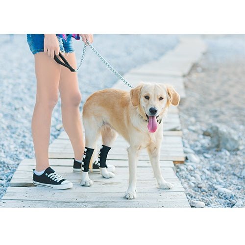 NeoAlly Dog Rear Leg Hock Brace with Safety Reflective Straps for Large Dogs [Long Version]