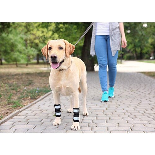 NeoAlly Dog Front Leg Brace with Reflective Straps - Metal Spring Inserts for Carpal Support (Pair)