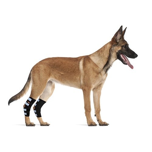 NeoAlly Dog Rear Leg Hock Brace with Safety Reflective Straps for Large Dogs [Long Version]