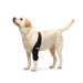 dog-elbow-brace