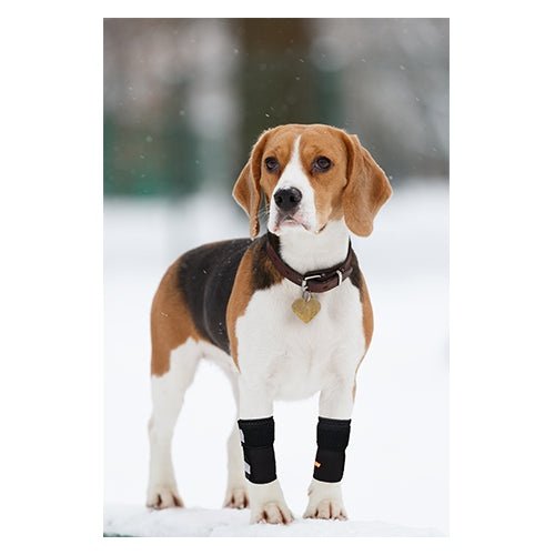 NeoAlly Dog Front Leg Braces: Enhance Safety with Reflective Straps (Pair)