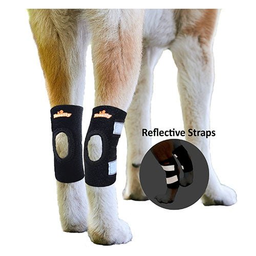 dog-rear-hock-braces