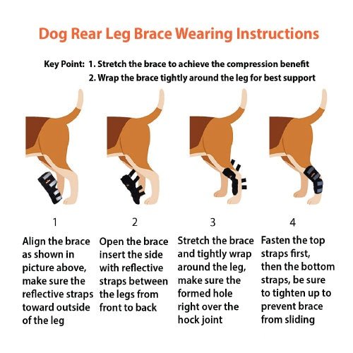 NeoAlly Dog Rear Leg Hock Brace with Safety Reflective Straps for Large Dogs [Long Version]