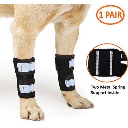 front-leg-brace-metal-spring