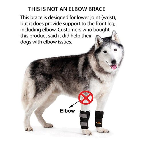 no-elbow-brace