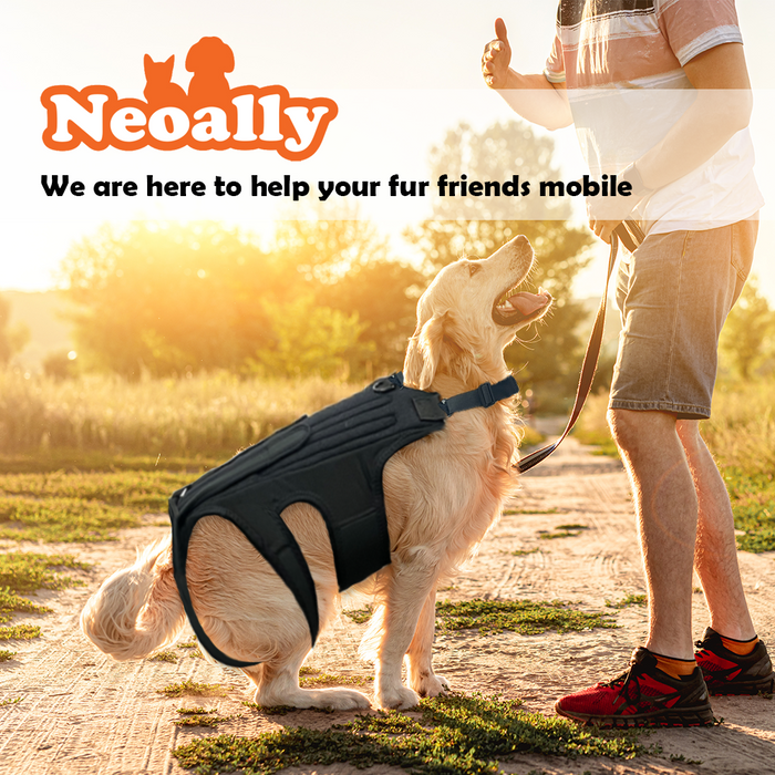 NeoAlly Dog Back Brace for Dogs with Inserts for Extra Support