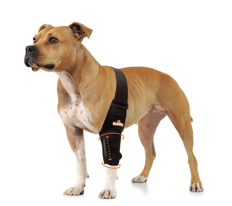 NeoAlly Elbow and Shoulder Brace with Spring Inserts for Dogs and Cats - Enhance Pet Mobility with Optimal Support