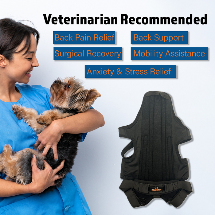 NeoAlly Dog Back Brace for Dogs with Inserts for Extra Support