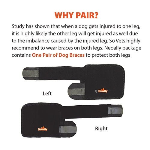 NeoAlly Dog Front Leg Braces: Enhance Safety with Reflective Straps (Pair)